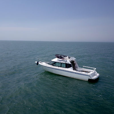 Морская рыбалка 