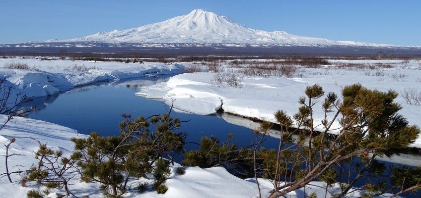 Новогодние Туры На Сахалин